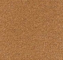 Ковролин Radici Forum Daino 2405 фото 1 | FLOORDEALER